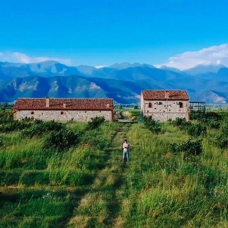 Mestvireni Telavi Esterno foto