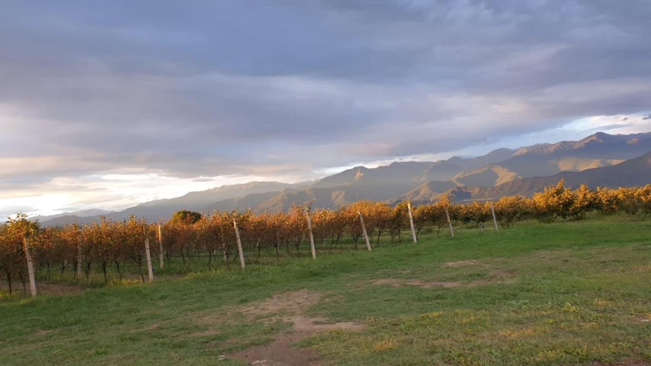 Mestvireni Telavi Esterno foto