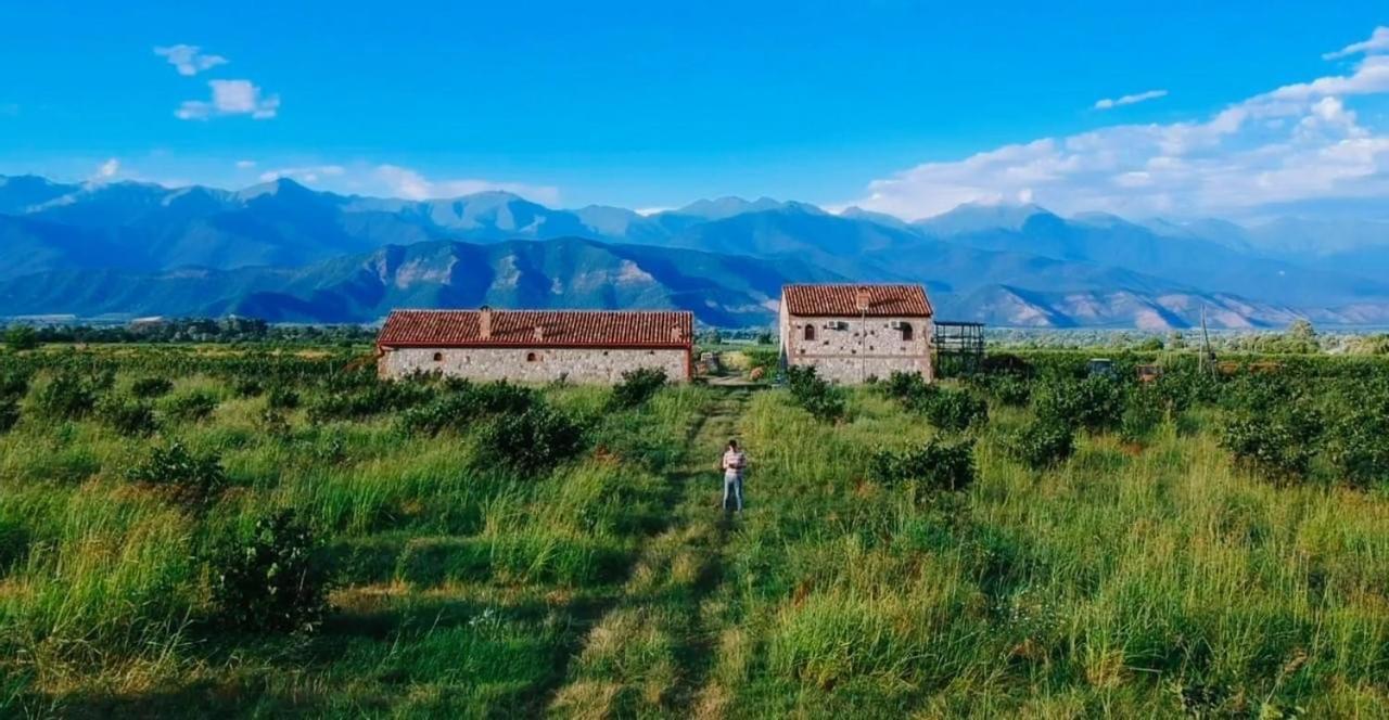 Mestvireni Telavi Esterno foto