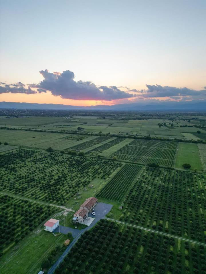 Mestvireni Telavi Esterno foto