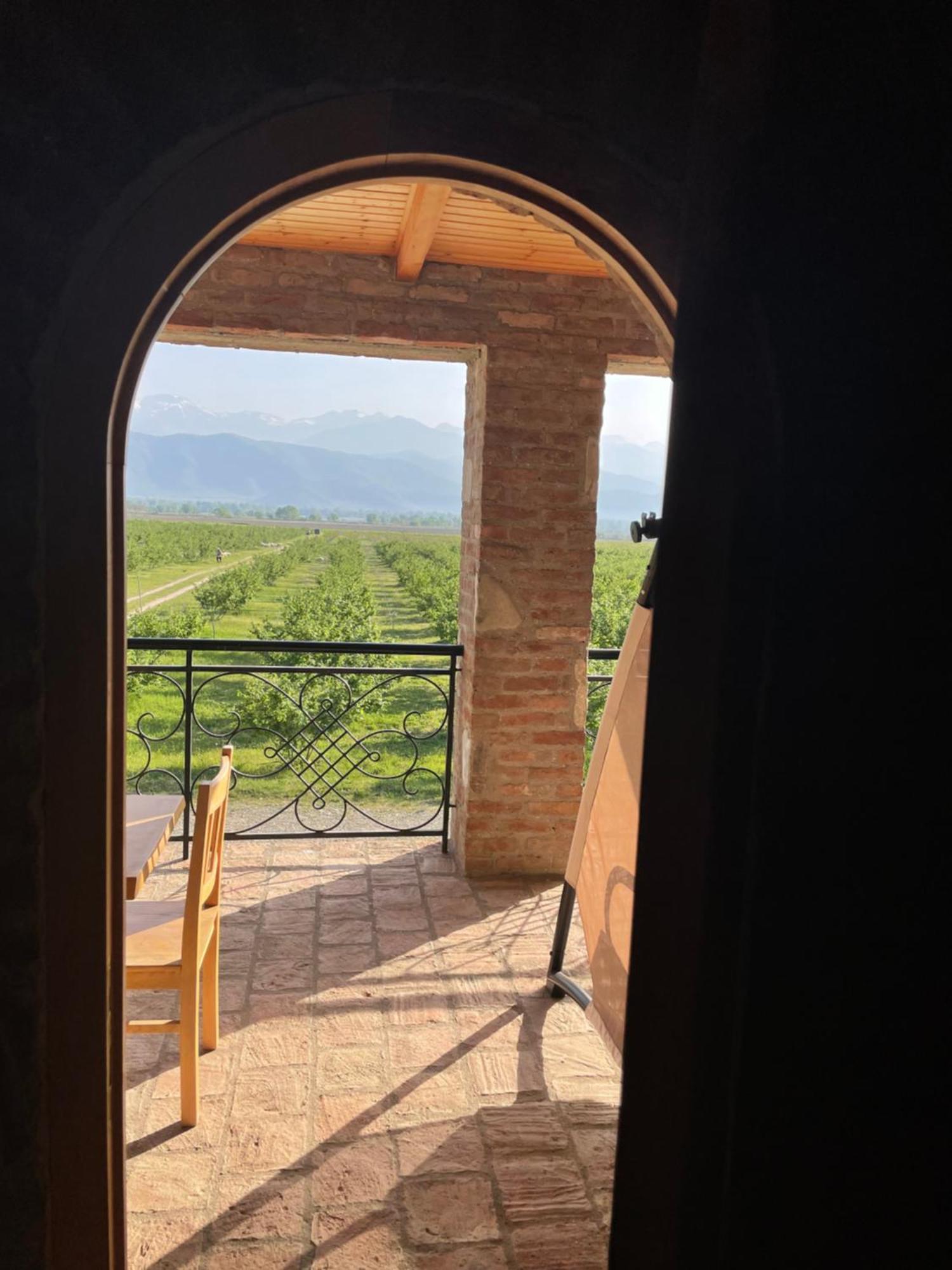 Mestvireni Telavi Esterno foto