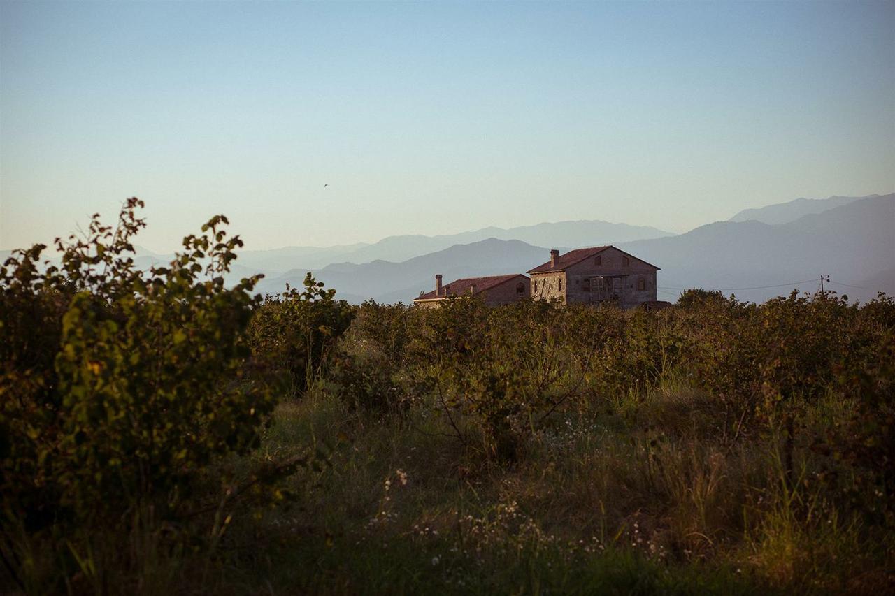 Mestvireni Telavi Esterno foto