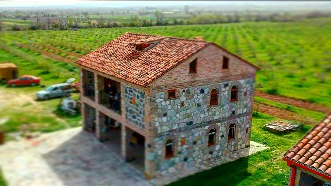 Mestvireni Telavi Esterno foto