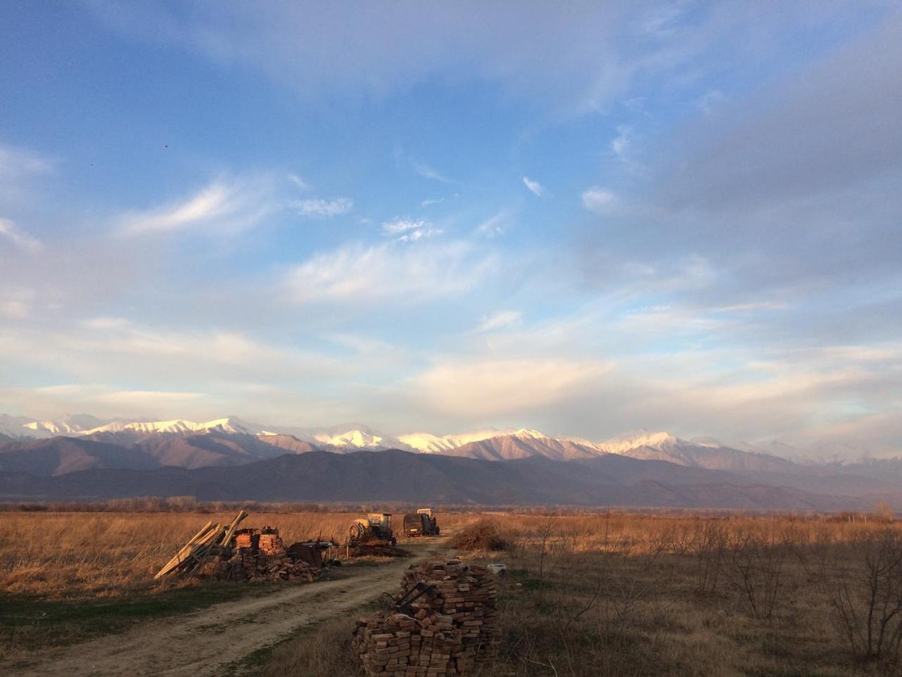 Mestvireni Telavi Esterno foto
