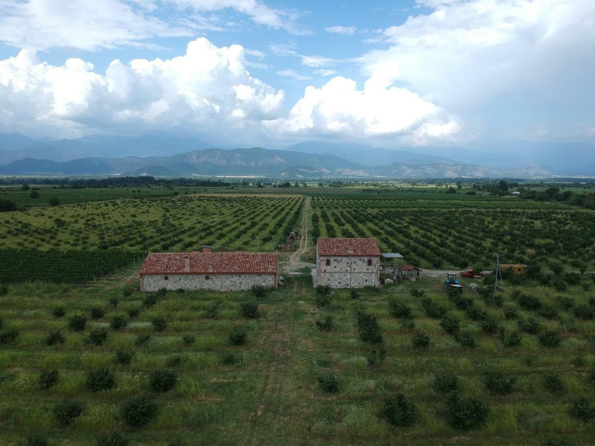 Mestvireni Telavi Esterno foto