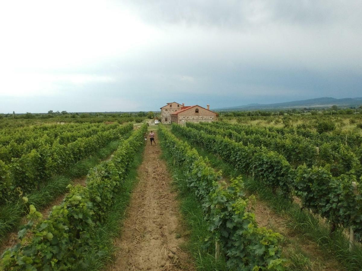 Mestvireni Telavi Esterno foto