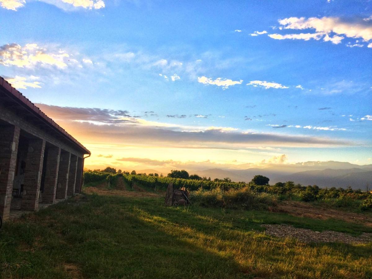 Mestvireni Telavi Esterno foto